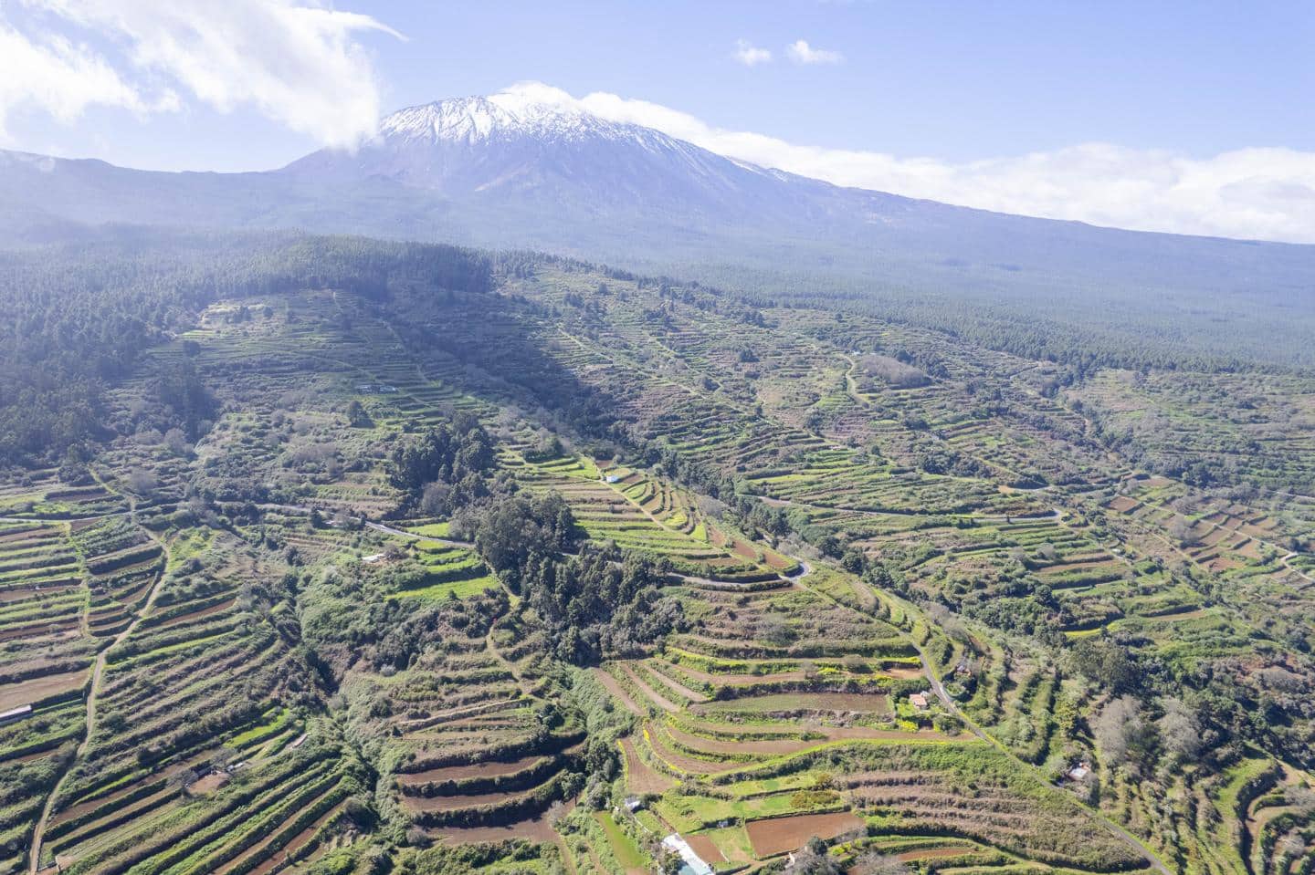 Undeveloped Land for sale in San Juan de la Rambla - € 67,000 (Ref: 9700100)