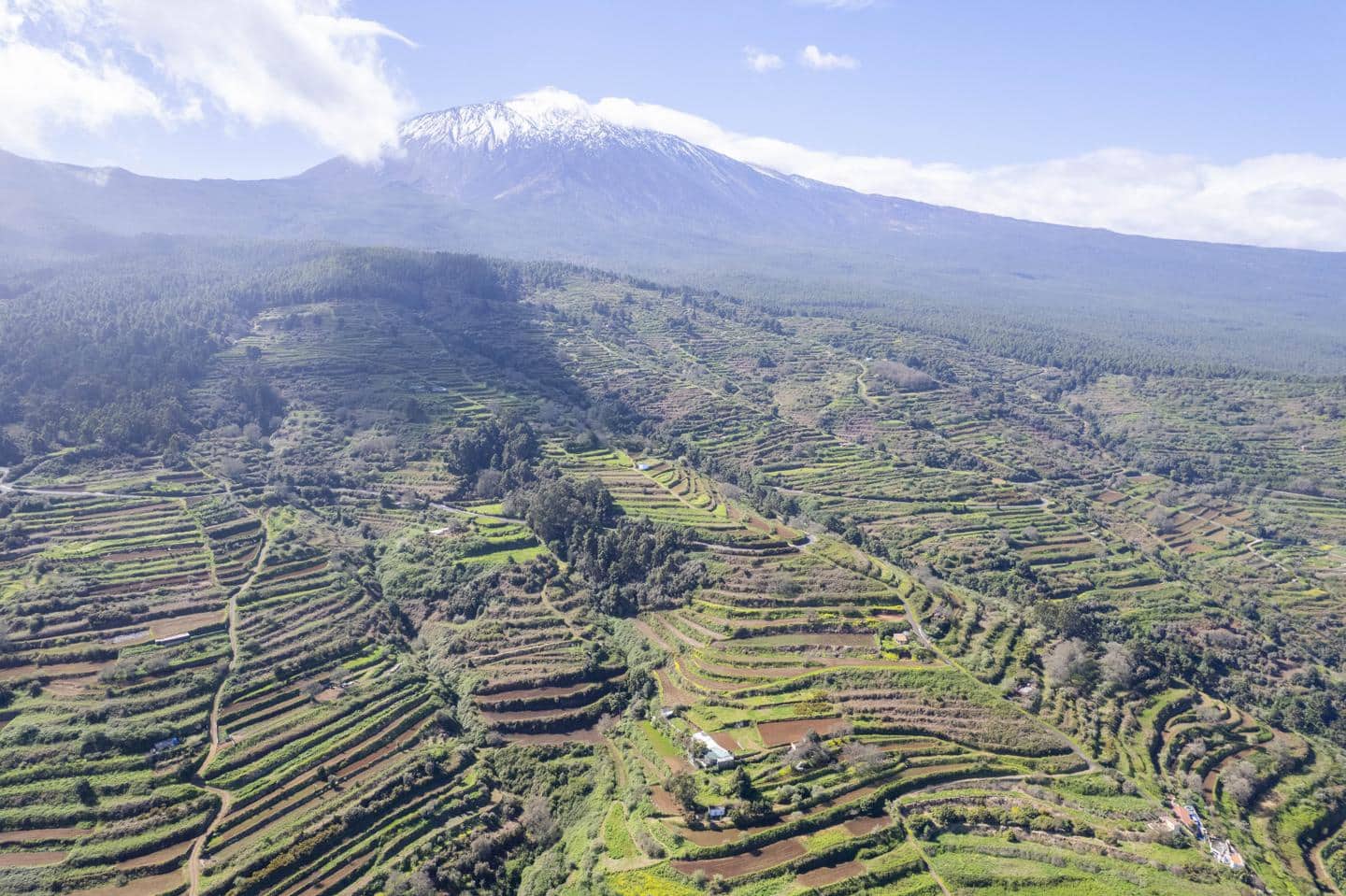 Undeveloped Land for sale in San Juan de la Rambla - € 67,000 (Ref: 9700100)