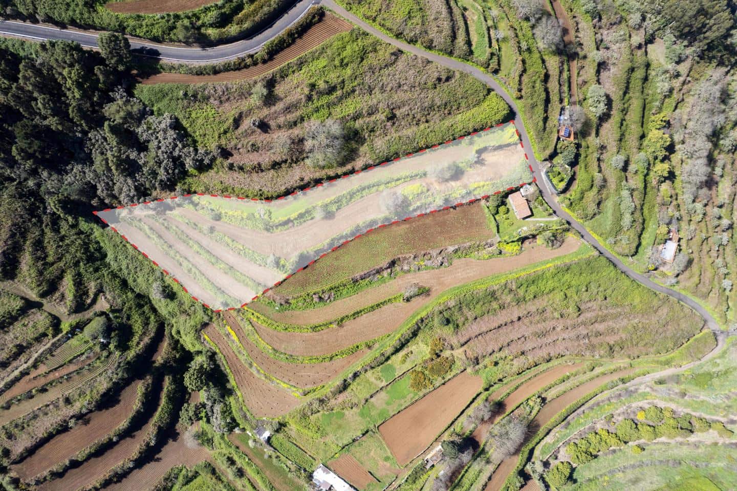 Undeveloped Land for sale in San Juan de la Rambla - € 67,000 (Ref: 9700100)