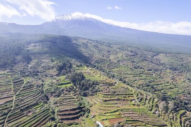 Undeveloped Land for sale in Centro Urbano, San Juan de la Rambla - € 67,000 (Ref: 9700100)