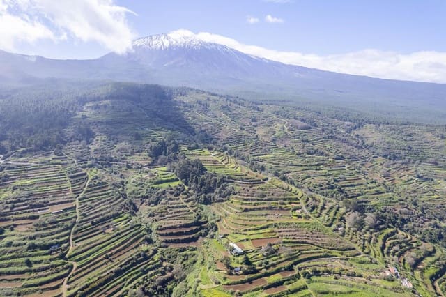 Undeveloped Land for sale in Centro Urbano, San Juan de la Rambla - € 67,000 (Ref: 9700100)