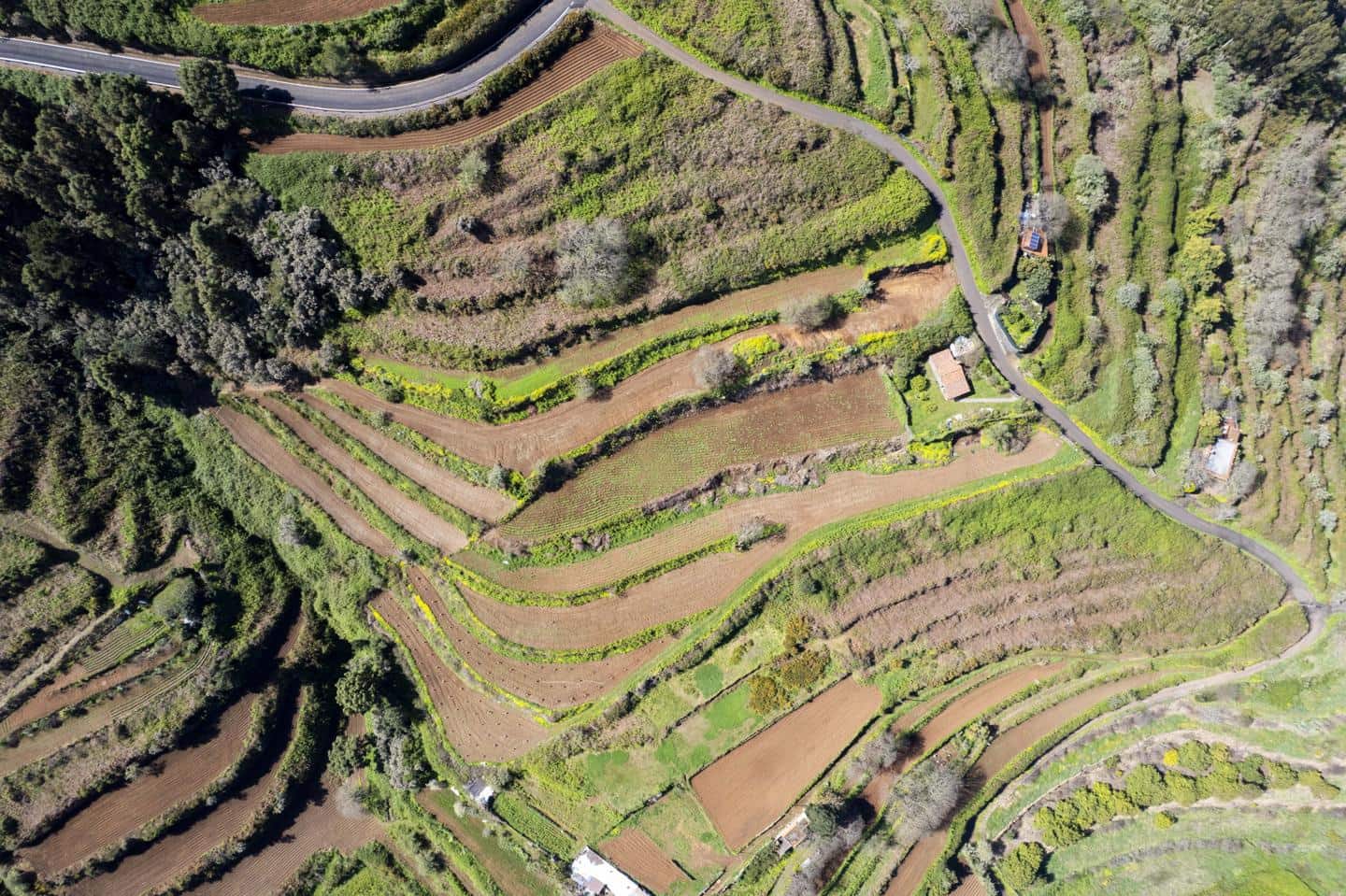 Undeveloped Land for sale in San Juan de la Rambla - € 67,000 (Ref: 9700100)