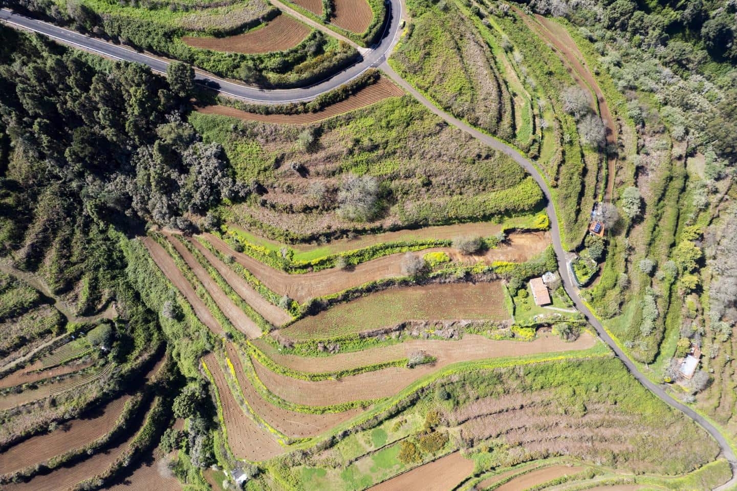 Undeveloped Land for sale in San Juan de la Rambla - € 67,000 (Ref: 9700100)