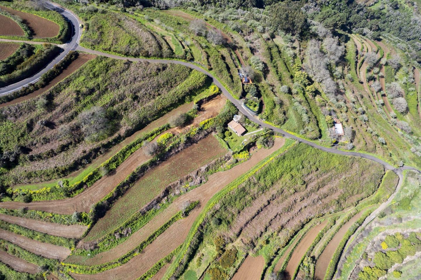 Undeveloped Land for sale in San Juan de la Rambla - € 67,000 (Ref: 9700100)