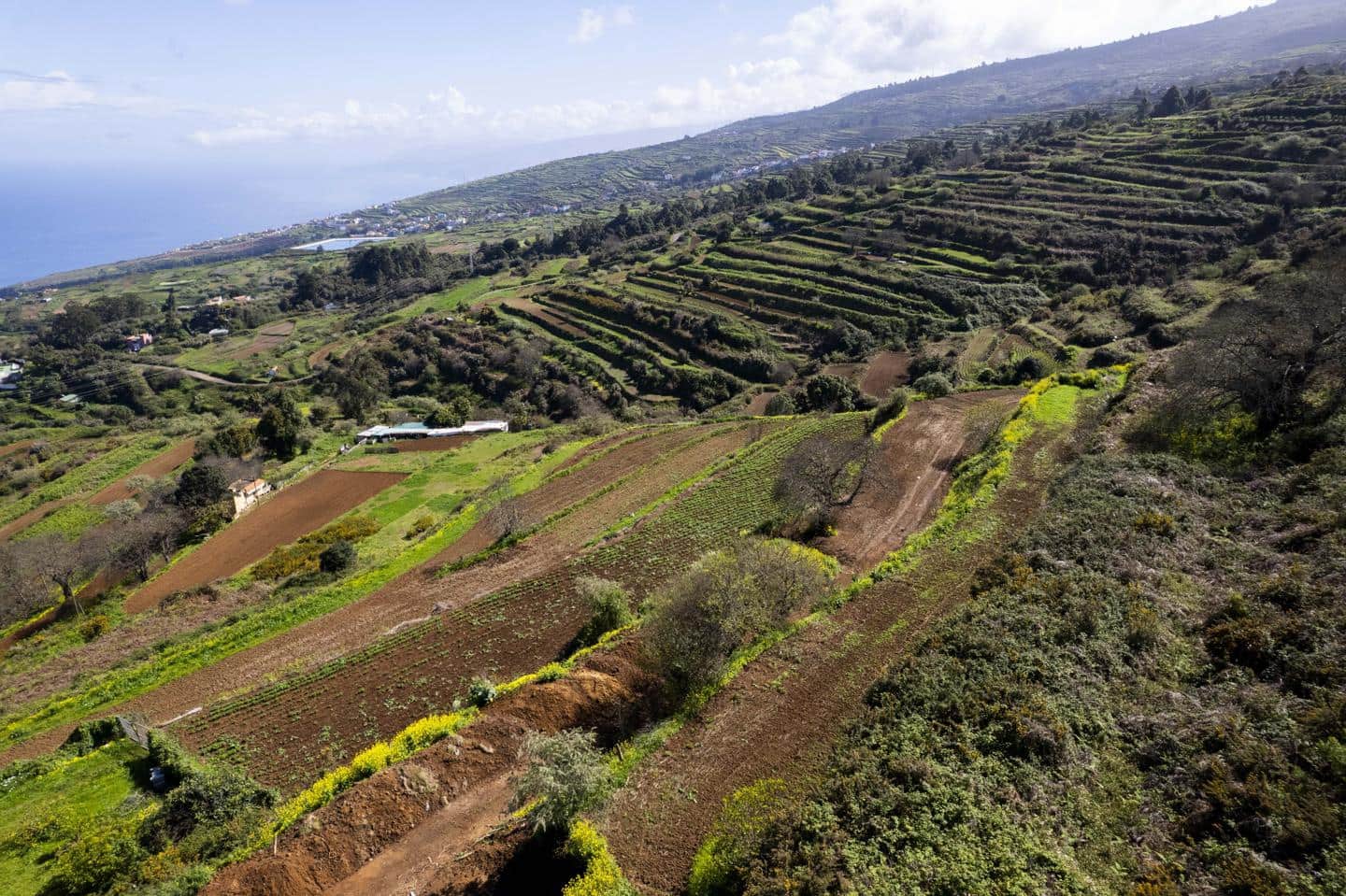 Undeveloped Land for sale in San Juan de la Rambla - € 67,000 (Ref: 9700100)