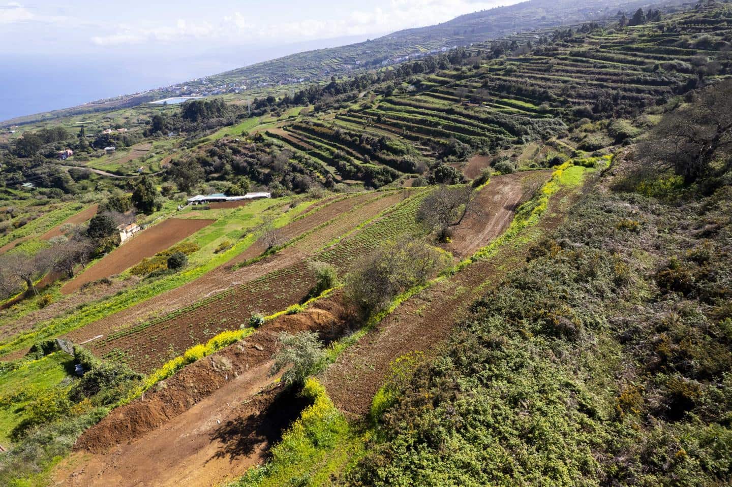 Undeveloped Land for sale in San Juan de la Rambla - € 67,000 (Ref: 9700100)