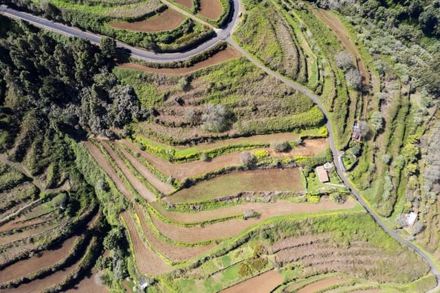 Undeveloped Land for sale in Centro Urbano, San Juan de la Rambla - € 67,000 (Ref: 9700100)