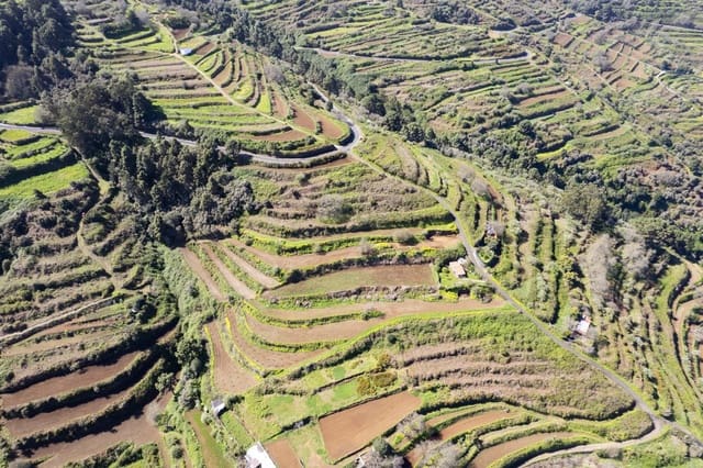 Undeveloped Land for sale in Centro Urbano, San Juan de la Rambla - € 67,000 (Ref: 9700100)