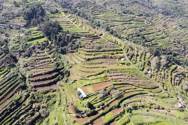 Undeveloped Land for sale in Centro Urbano, San Juan de la Rambla - € 67,000 (Ref: 9700100)