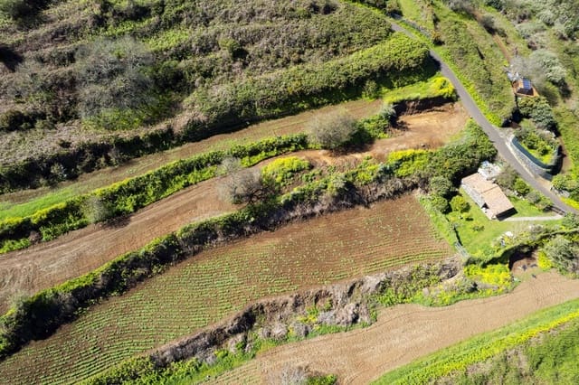 Undeveloped Land for sale in Centro Urbano, San Juan de la Rambla - € 67,000 (Ref: 9700100)