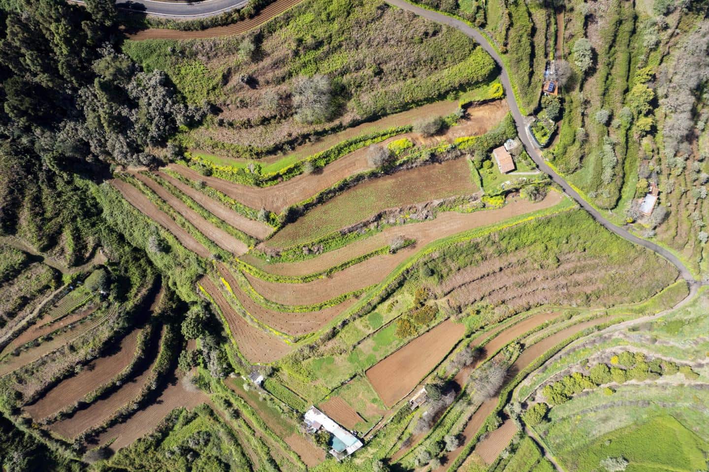 Undeveloped Land for sale in San Juan de la Rambla - € 67,000 (Ref: 9700100)