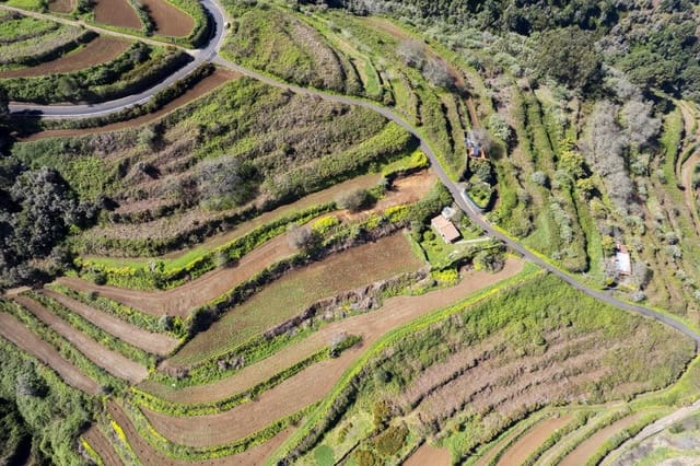 Undeveloped Land for sale in Centro Urbano, San Juan de la Rambla - € 67,000 (Ref: 9700100)