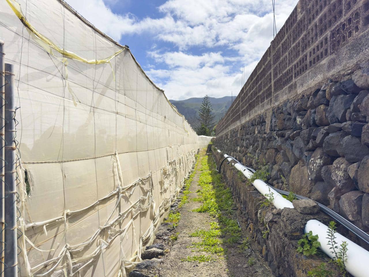 Undeveloped Land for sale in Los Silos - € 82,000 (Ref: 9708177)