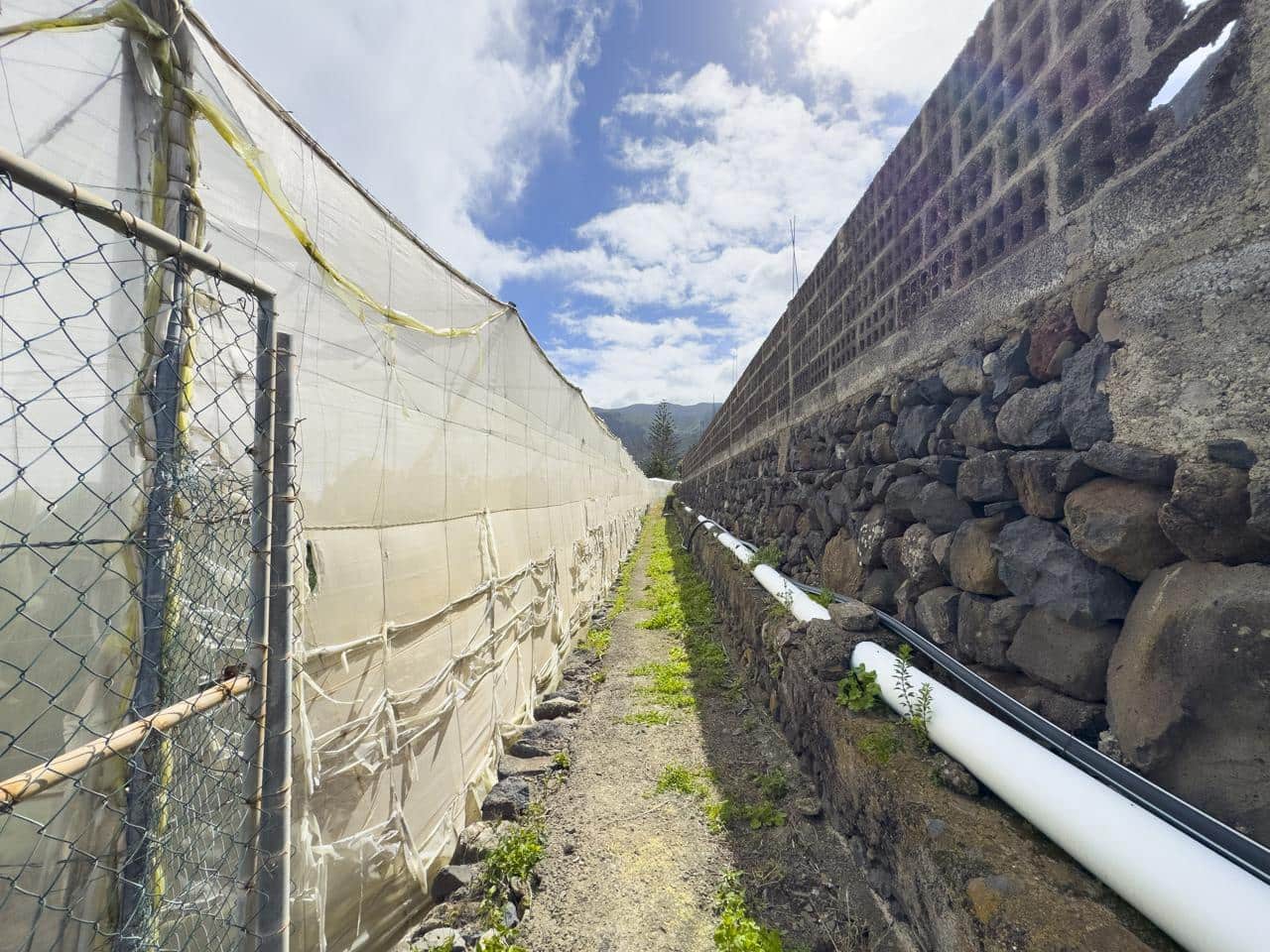 Undeveloped Land for sale in Los Silos - € 82,000 (Ref: 9708177)