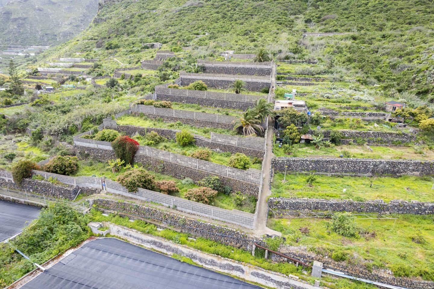 Undeveloped Land for sale in Los Silos - € 82,000 (Ref: 9708177)