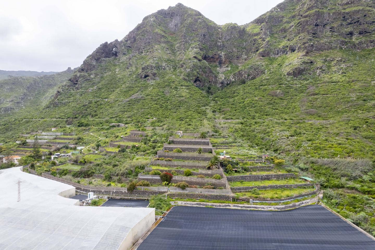 Undeveloped Land for sale in Los Silos - € 82,000 (Ref: 9708177)