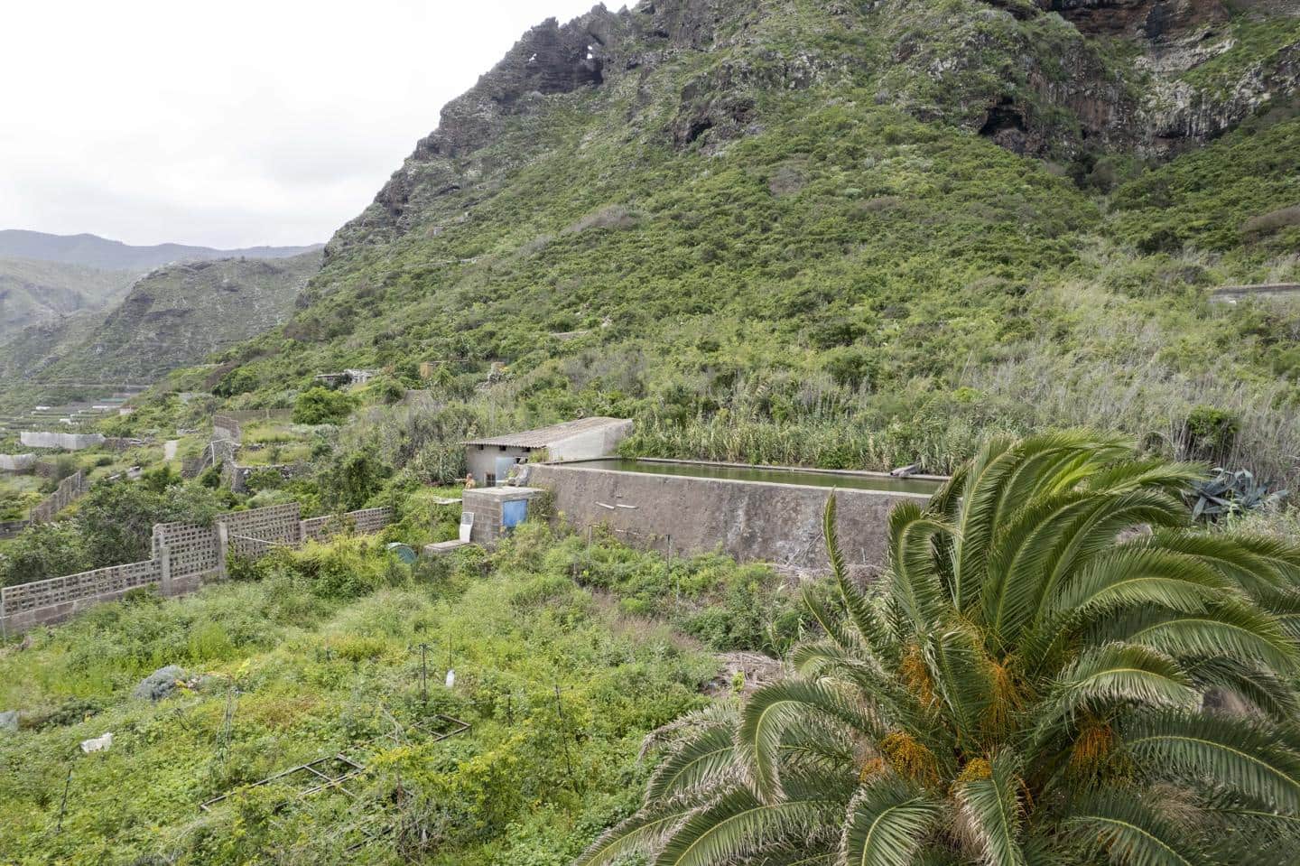 Undeveloped Land for sale in Los Silos - € 82,000 (Ref: 9708177)