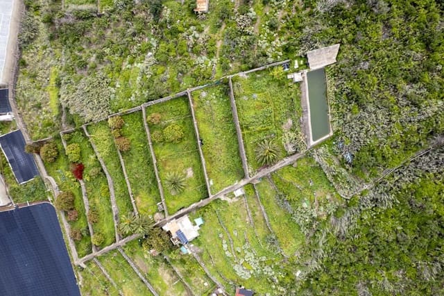 Terreno/Finca Rústica en Los Silos en venta - 82.000 € (Ref: 9708177)