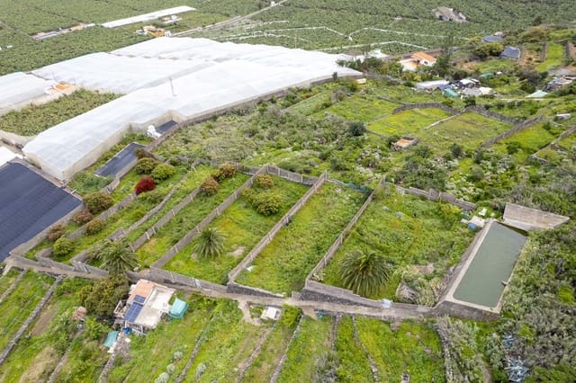 Terreno/Finca Rústica en Los Silos en venta - 82.000 € (Ref: 9708177)