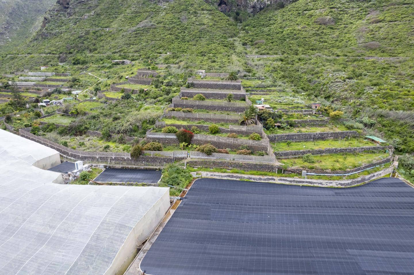 Undeveloped Land for sale in Los Silos - € 82,000 (Ref: 9708177)