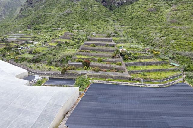 Terreno/Finca Rústica en Los Silos en venta - 82.000 € (Ref: 9708177)