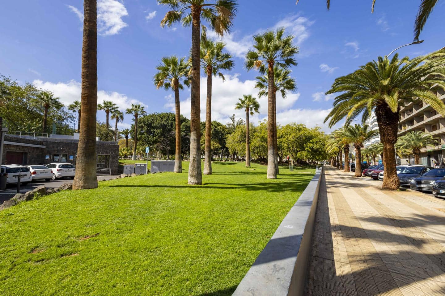 1 Zimmer Firma/Unternehmen zu vermieten in Santa Cruz de Tenerife - 1.030 € (Ref: 9713881)