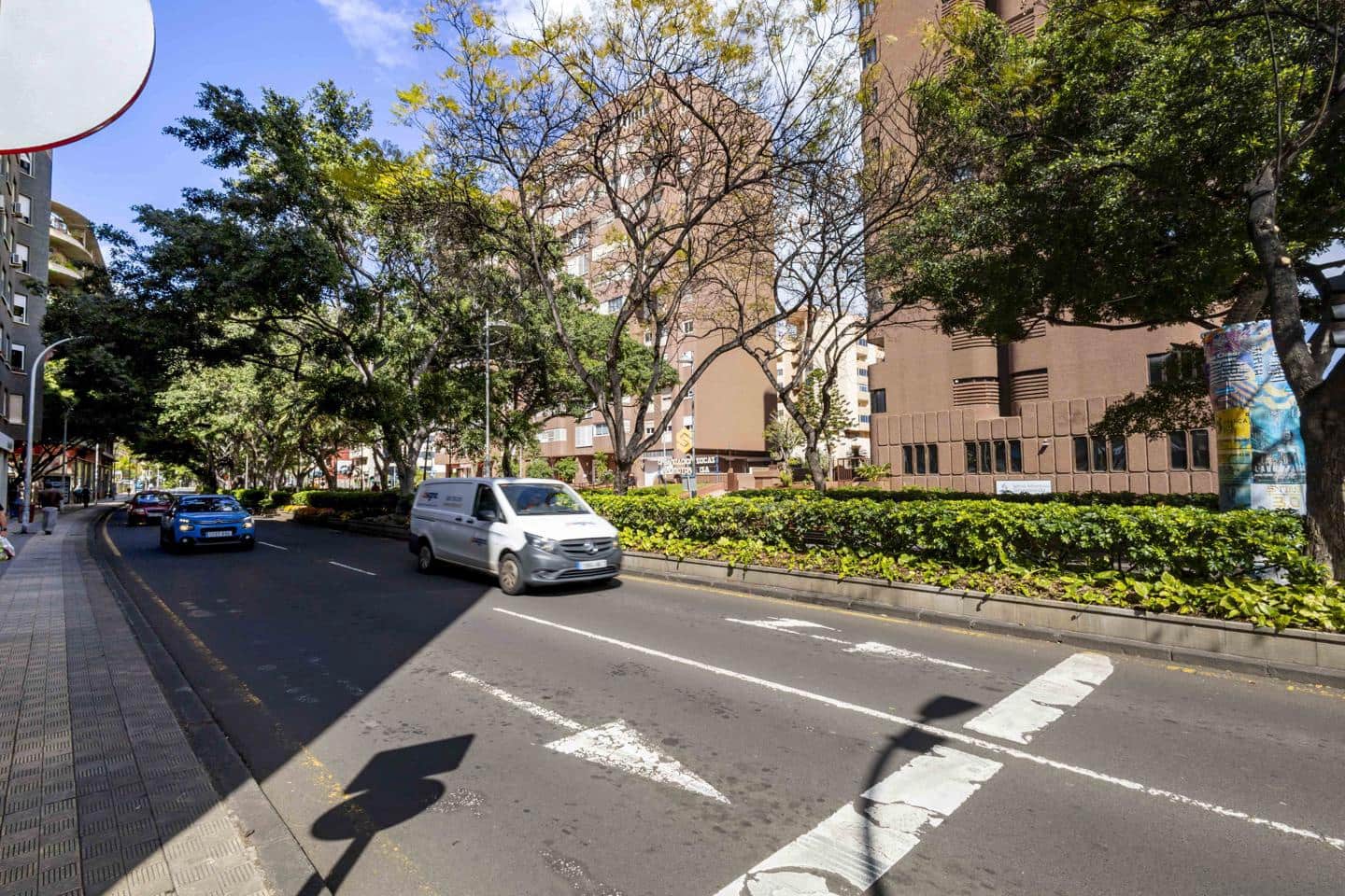 1 Zimmer Firma/Unternehmen zu vermieten in Santa Cruz de Tenerife - 1.030 € (Ref: 9713881)