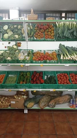 1 soveværelse Virksomhed til leje i San Cristóbal de La Laguna - € 600 (Ref: 9747282)