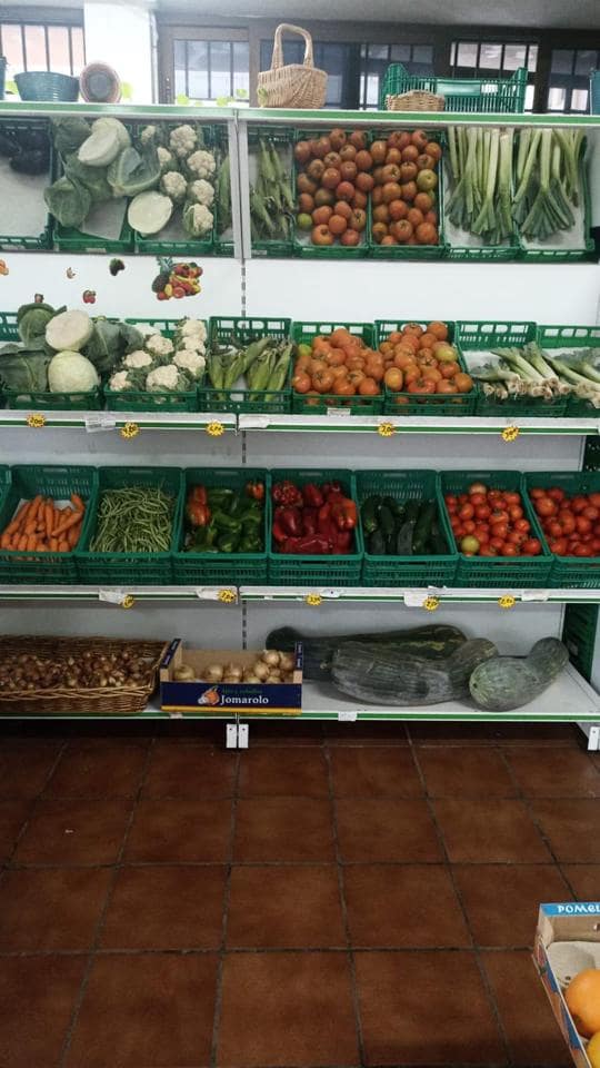 1 bedroom Business for rent in San Cristobal de La Laguna - € 600 (Ref: 9747282)