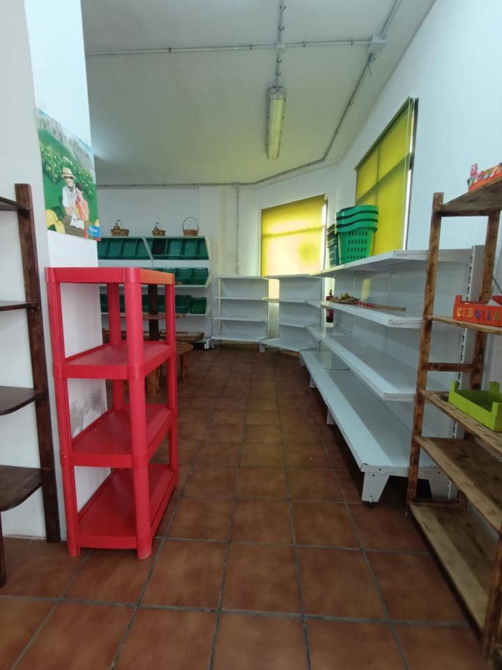 1 bedroom Business for rent in San Cristobal de La Laguna - € 600 (Ref: 9747282)