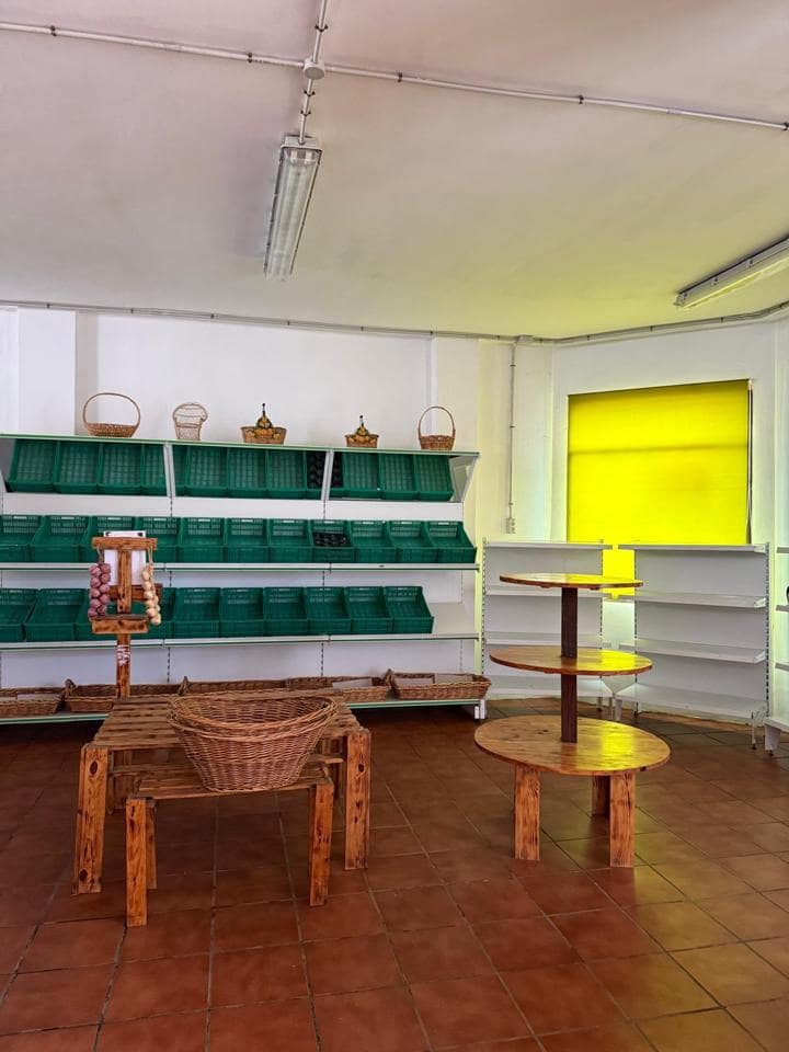 1 bedroom Business for rent in San Cristobal de La Laguna - € 600 (Ref: 9747282)