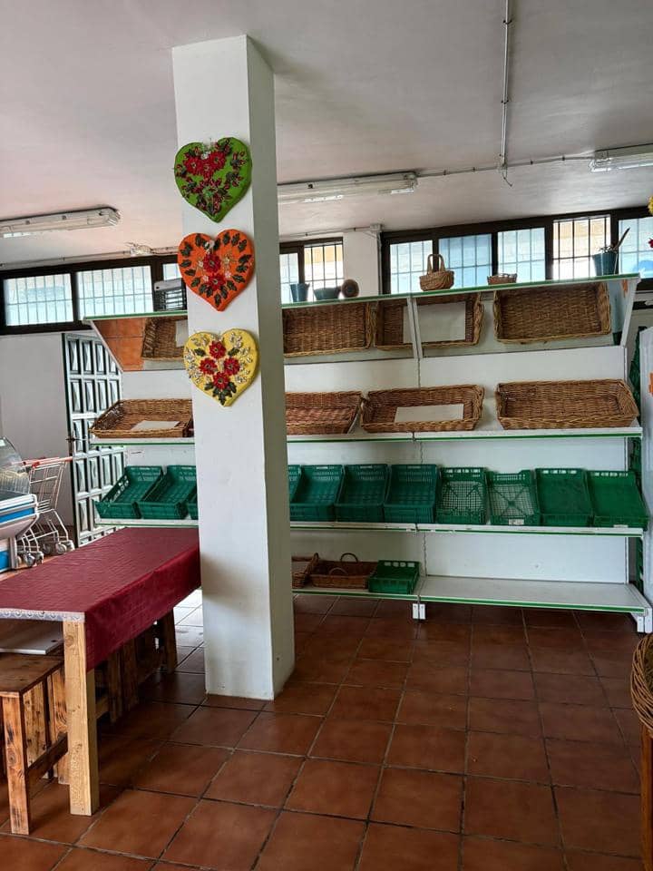 1 bedroom Business for rent in San Cristobal de La Laguna - € 600 (Ref: 9747282)