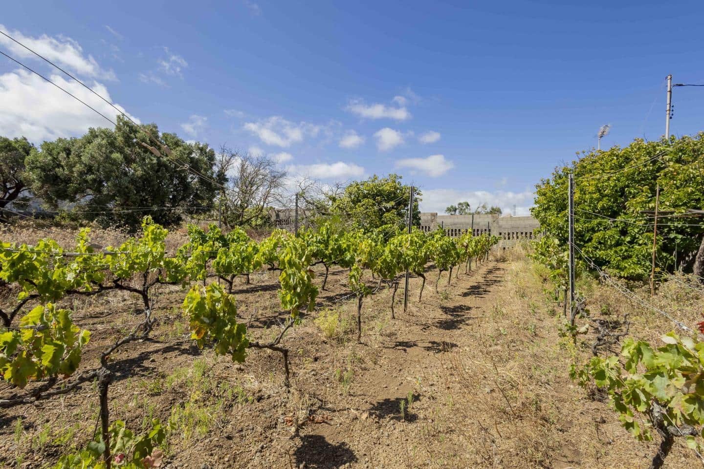 3 camera da letto Villa in vendita in San Cristobal de La Laguna - 450.000 € (Rif: 9761299)