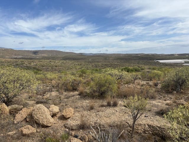 Terreno Non Edificato in vendita in El Rio de Arico, Arico - 29.500 € (Rif: 9776938)