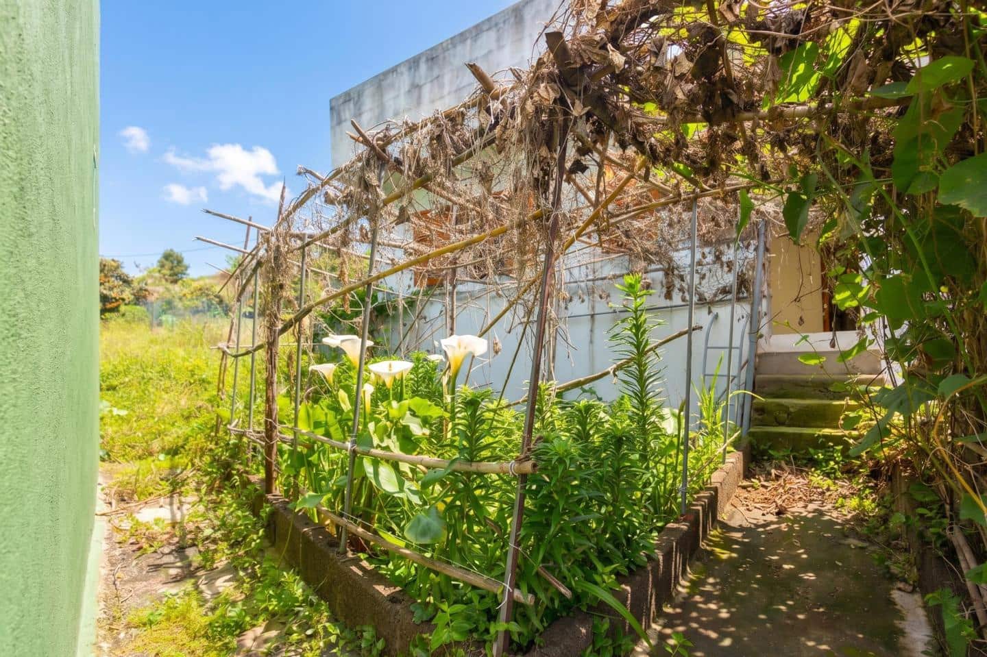 4 sovrum Villa till salu i Icod de los Vinos - 170 000 € (Ref: 9805716)