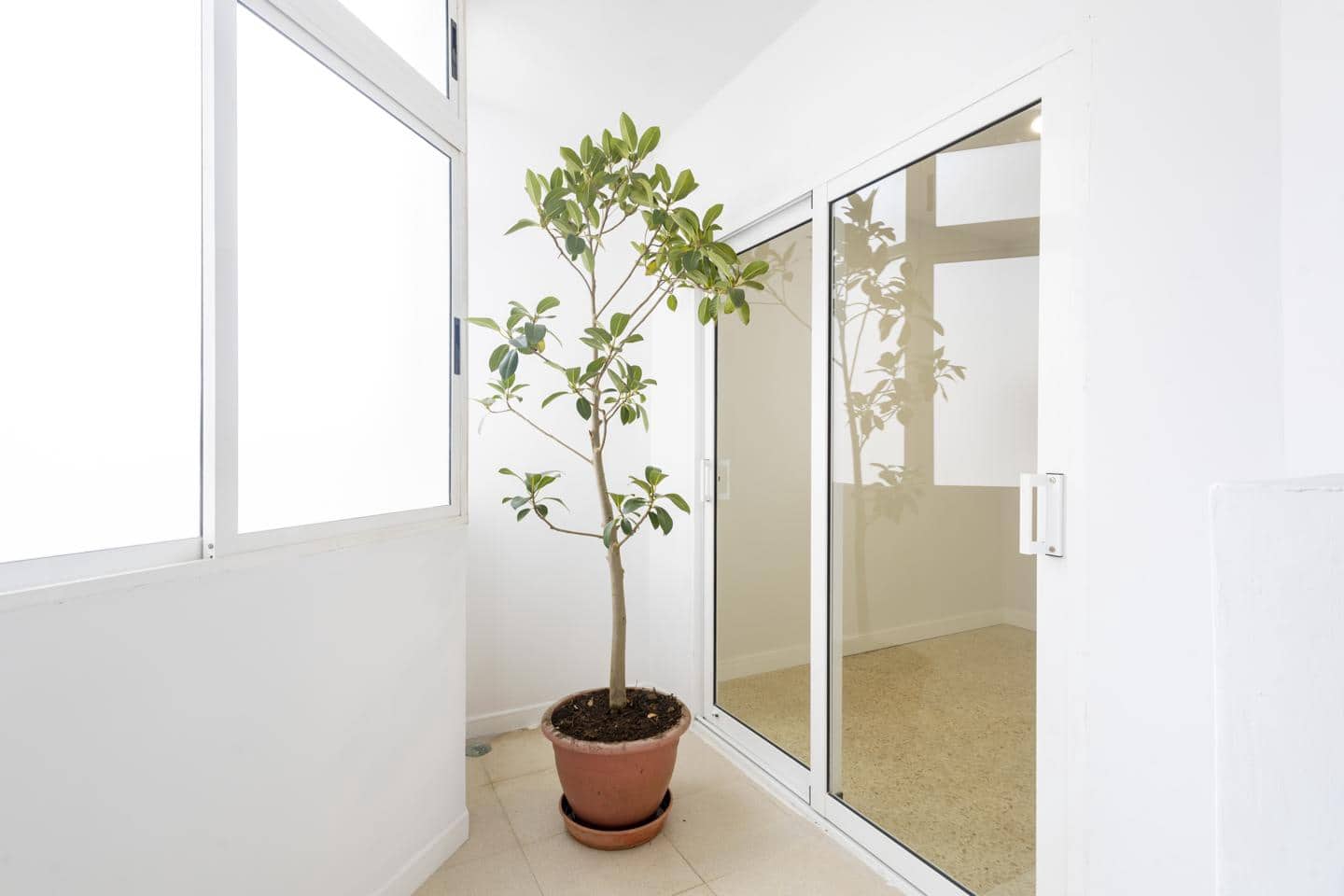 3 soveværelse Lejlighed til leje i Santa Cruz de Tenerife - € 1.300 (Ref: 9816410)