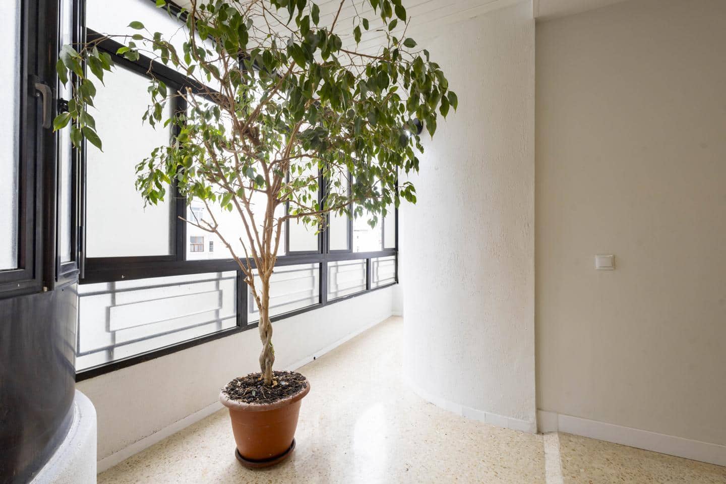3 soveværelse Lejlighed til leje i Santa Cruz de Tenerife - € 1.300 (Ref: 9816410)