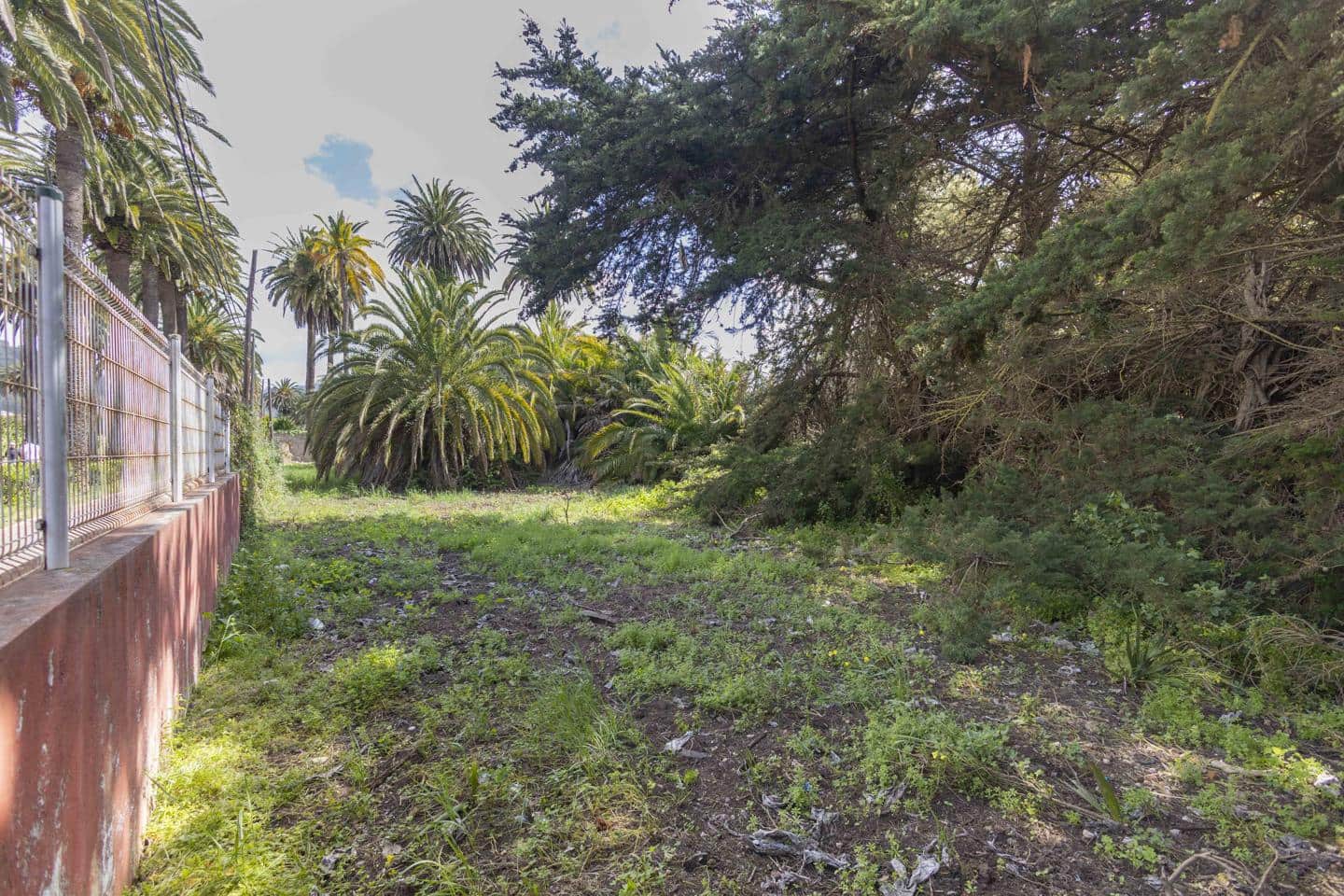 Undeveloped Land for sale in San Cristobal de La Laguna - € 490,000 (Ref: 9819343)
