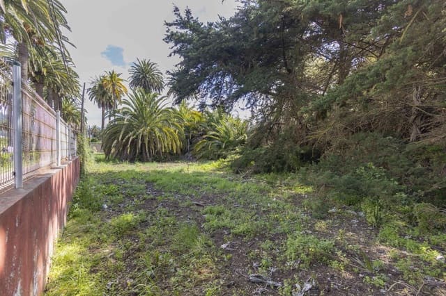 Grunde uden byggetilladelser til salg i San Cristóbal de La Laguna - € 490.000 (Ref: 9819343)