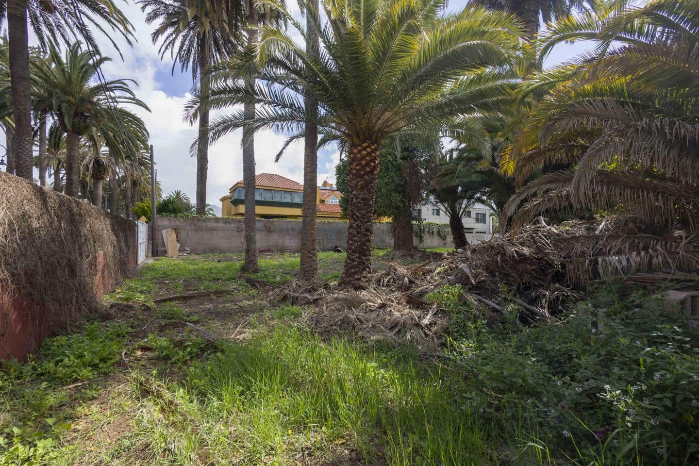 Undeveloped Land for sale in San Cristobal de La Laguna - € 490,000 (Ref: 9819343)
