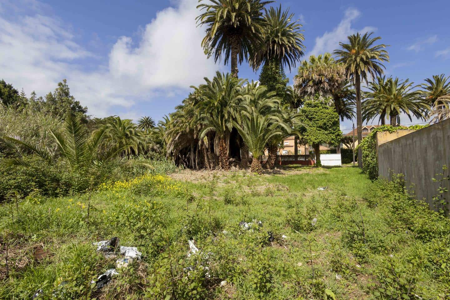 Undeveloped Land for sale in San Cristobal de La Laguna - € 490,000 (Ref: 9819343)