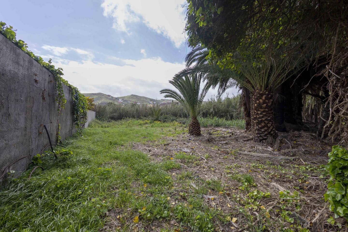 Undeveloped Land for sale in San Cristobal de La Laguna - € 490,000 (Ref: 9819343)
