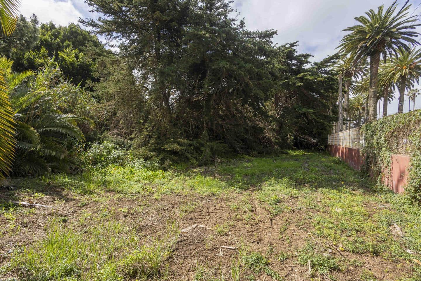 Undeveloped Land for sale in San Cristobal de La Laguna - € 490,000 (Ref: 9819343)