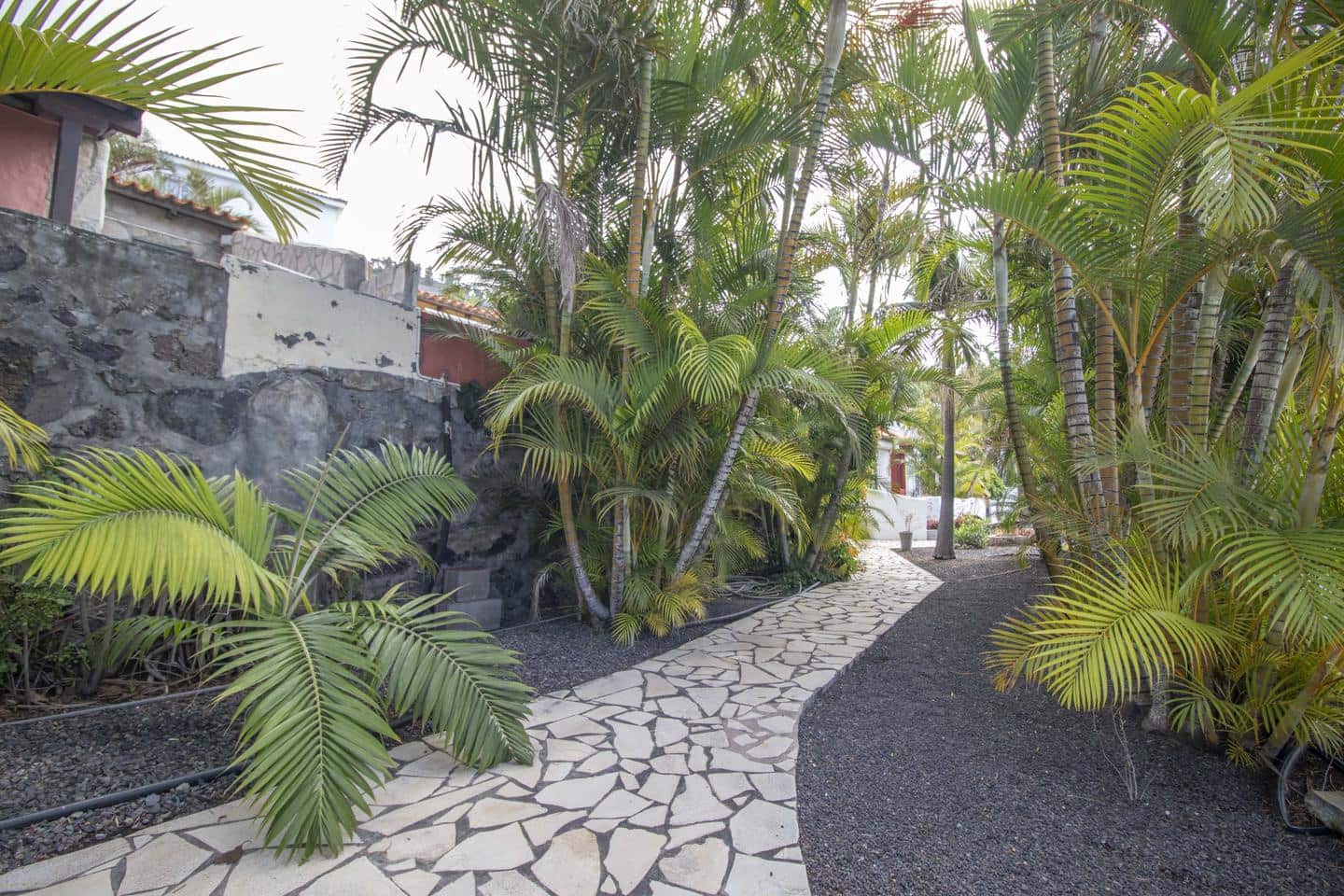 1 bedroom Business for sale in Fuencaliente de la Palma - € 210,000 (Ref: 9819344)