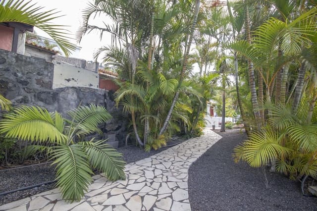1 bedroom Business for sale in Fuencaliente de la Palma - € 210,000 (Ref: 9819344)