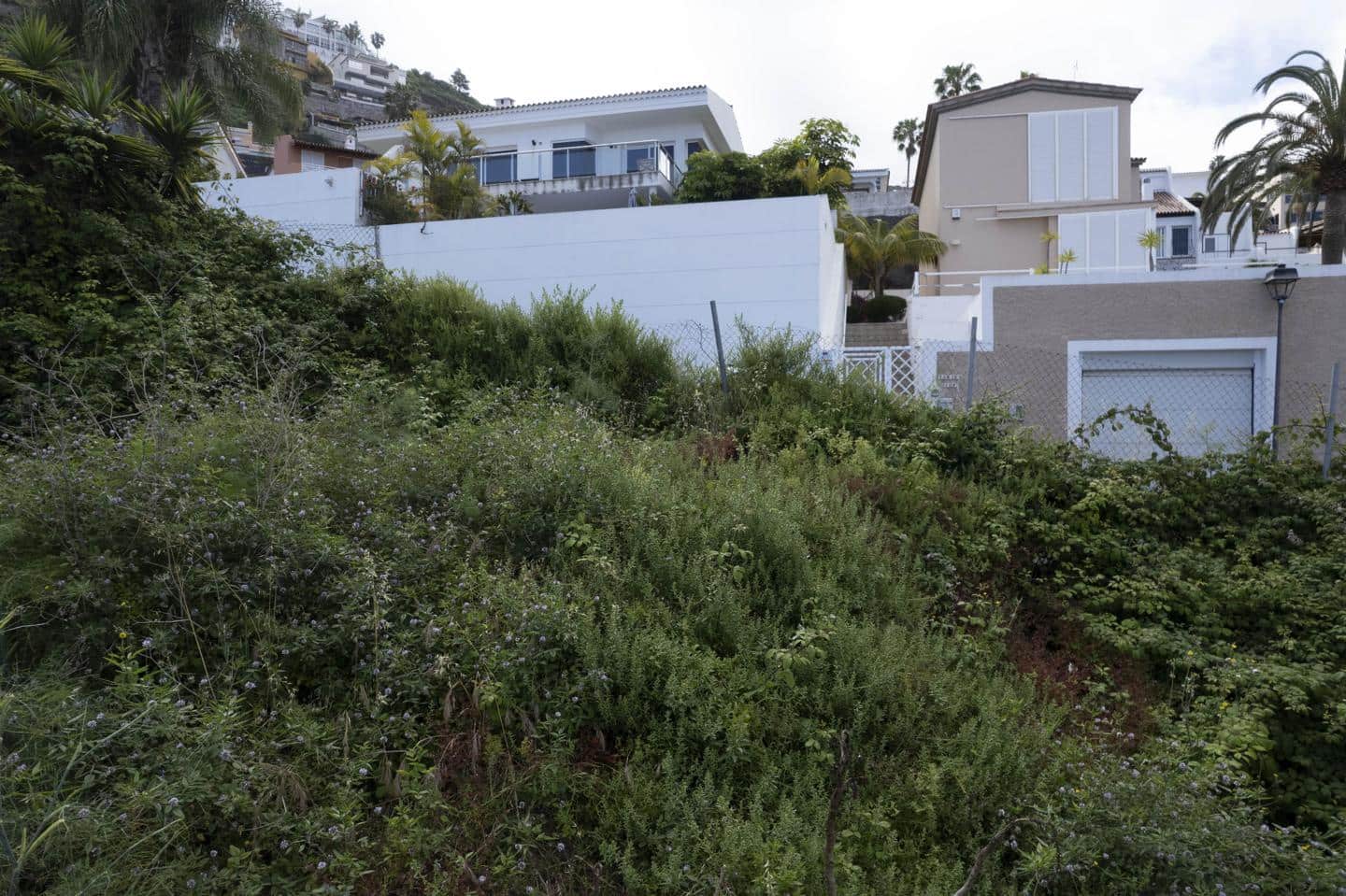 Terre non Aménagée à vendre à El Sauzal - 210 000 € (Ref: 9854631)