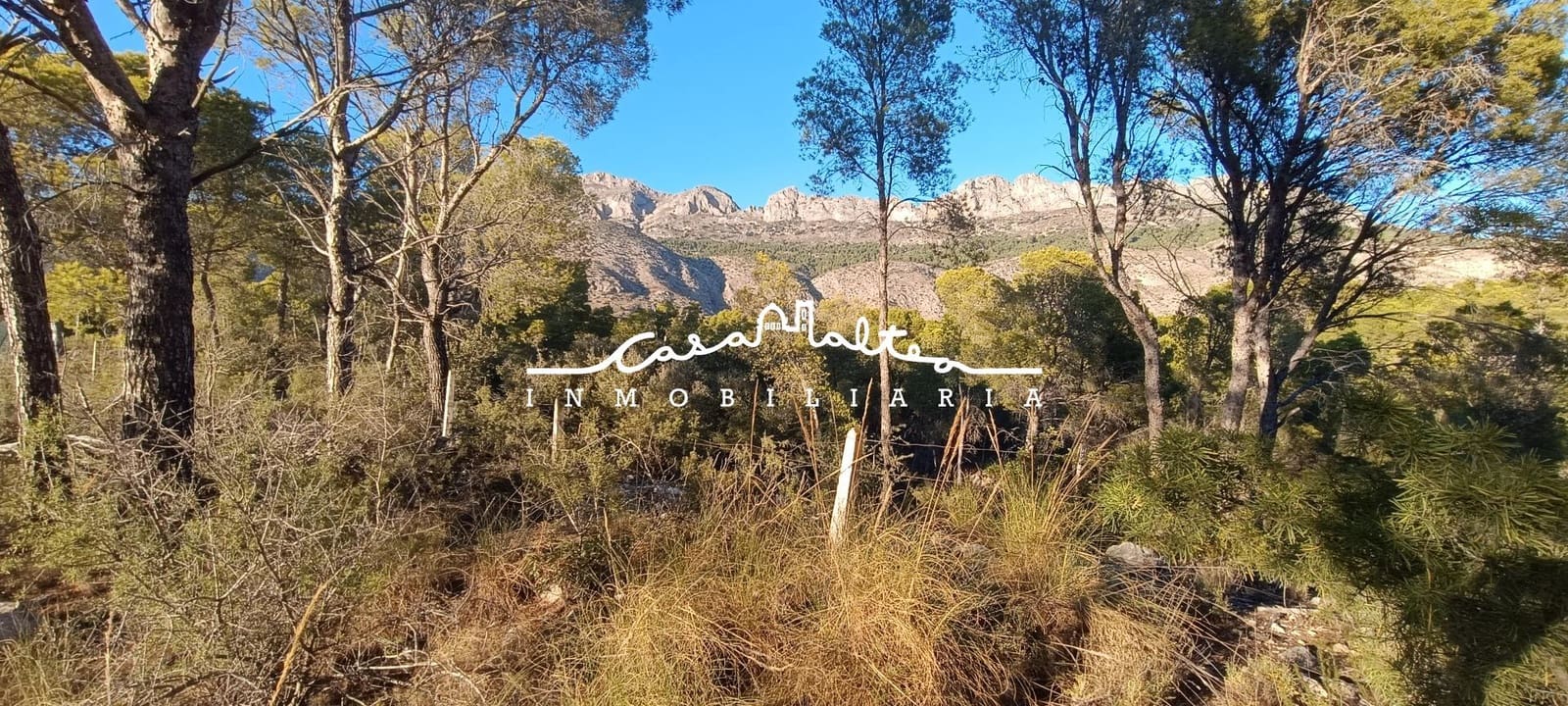 Byggegrund til salg i Altea la Vella - € 275.000 (Ref: 8303139)