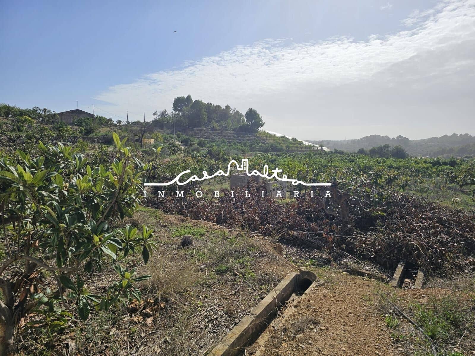 1 soveværelse Finca/Landehus til salg i Callosa d'En Sarria - € 157.000 (Ref: 8792646)