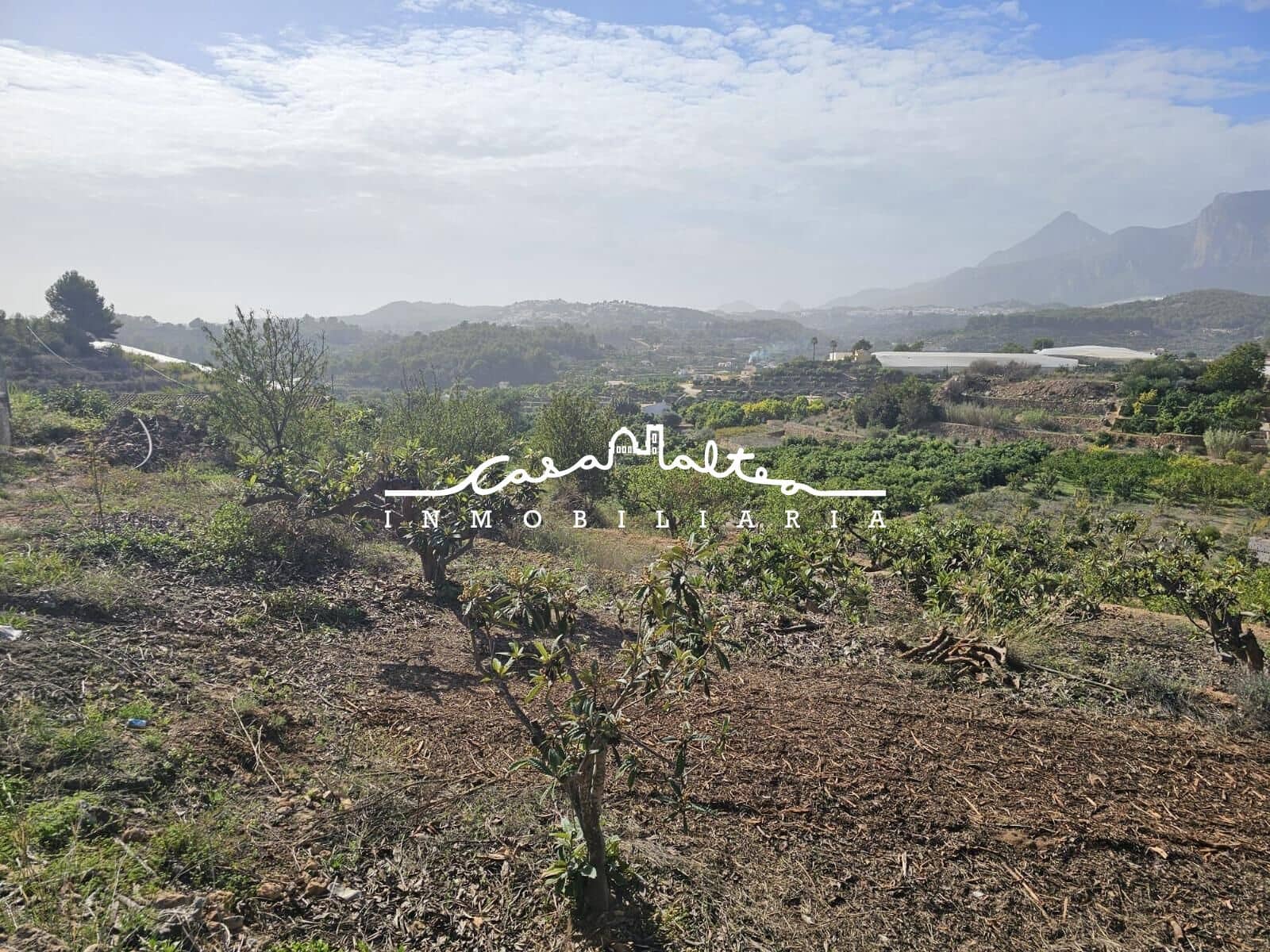 1 soveværelse Finca/Landehus til salg i Callosa d'En Sarria - € 157.000 (Ref: 8792646)