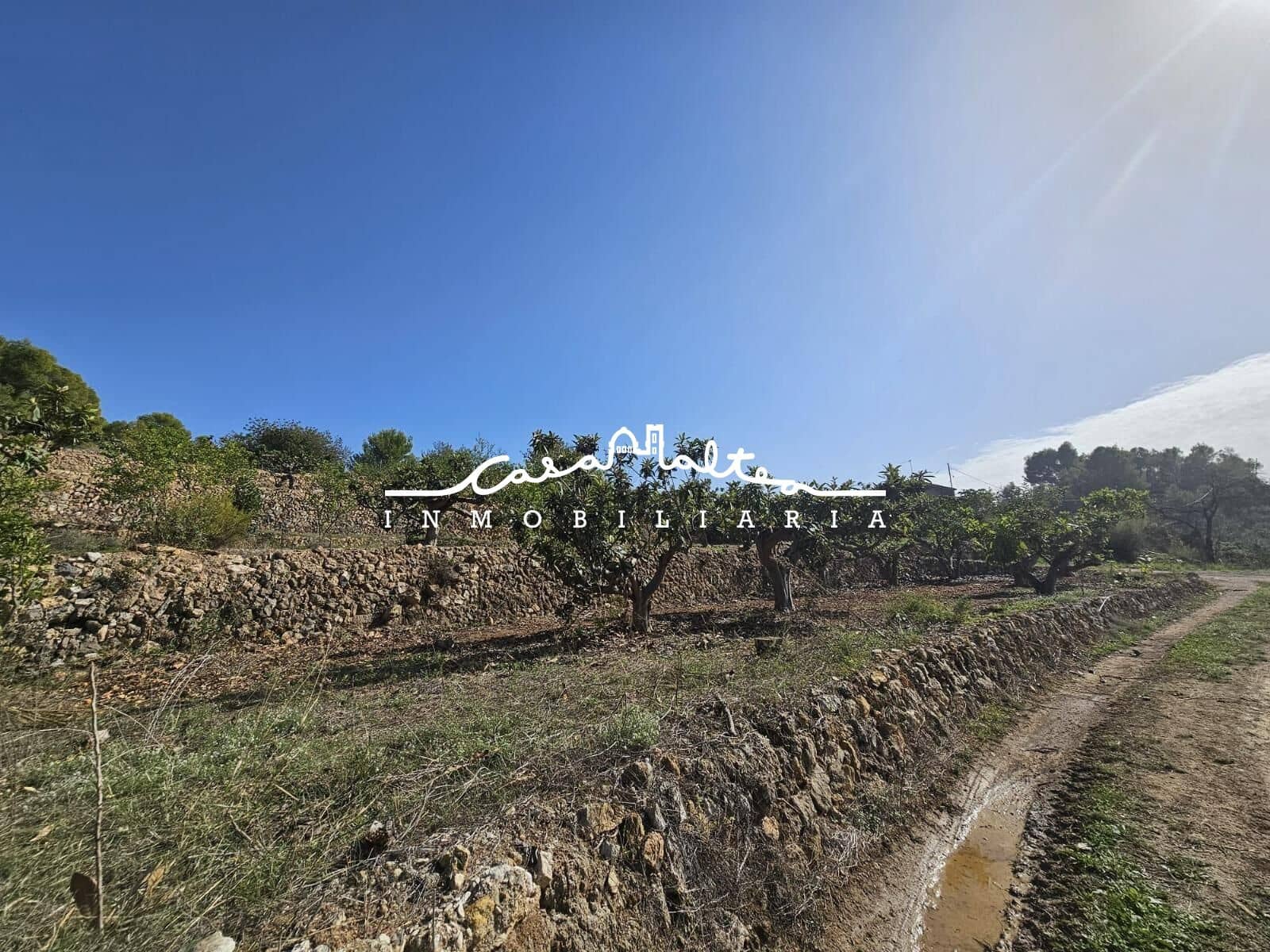 1 soveværelse Finca/Landehus til salg i Callosa d'En Sarria - € 157.000 (Ref: 8792646)